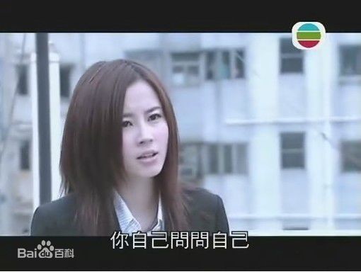 傅颖(Theresa Fu)2007年《廉政行动2007》最全剧照