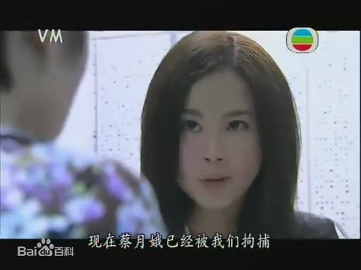 傅颖(Theresa Fu)2007年《廉政行动2007》最全剧照