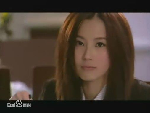 傅颖(Theresa Fu)2007年《廉政行动2007》最全剧照