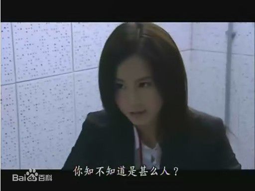 傅颖(Theresa Fu)2007年《廉政行动2007》最全剧照