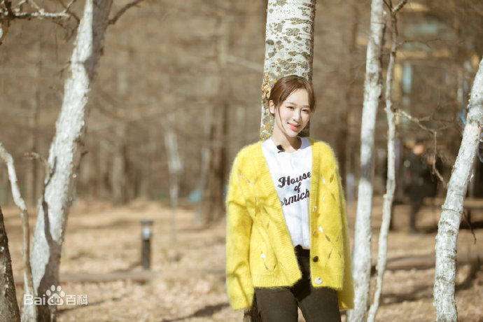 高清杨紫(Andy)在《亲爱的客栈》中的图集