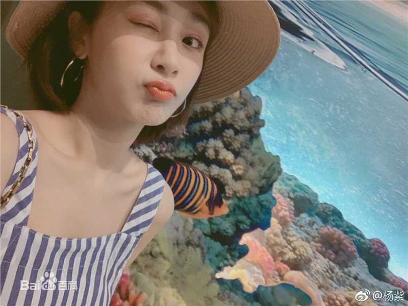 最全杨紫(Andy)壁纸