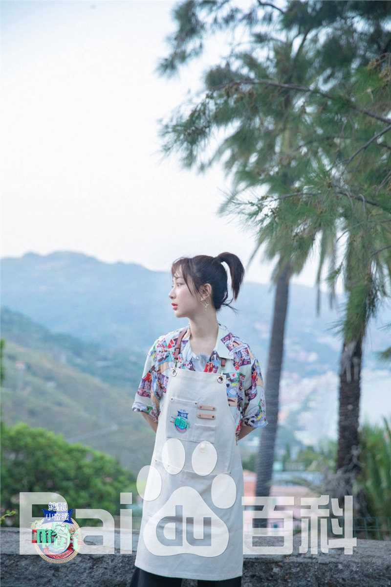 精选杨紫(Andy)在《中餐厅第三季》中的图册