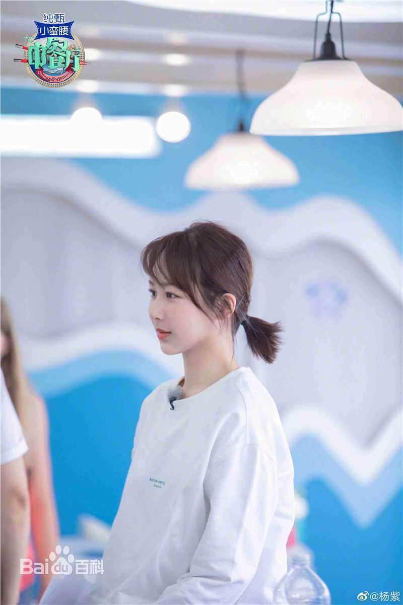 精选杨紫(Andy)在《中餐厅第三季》中的图册