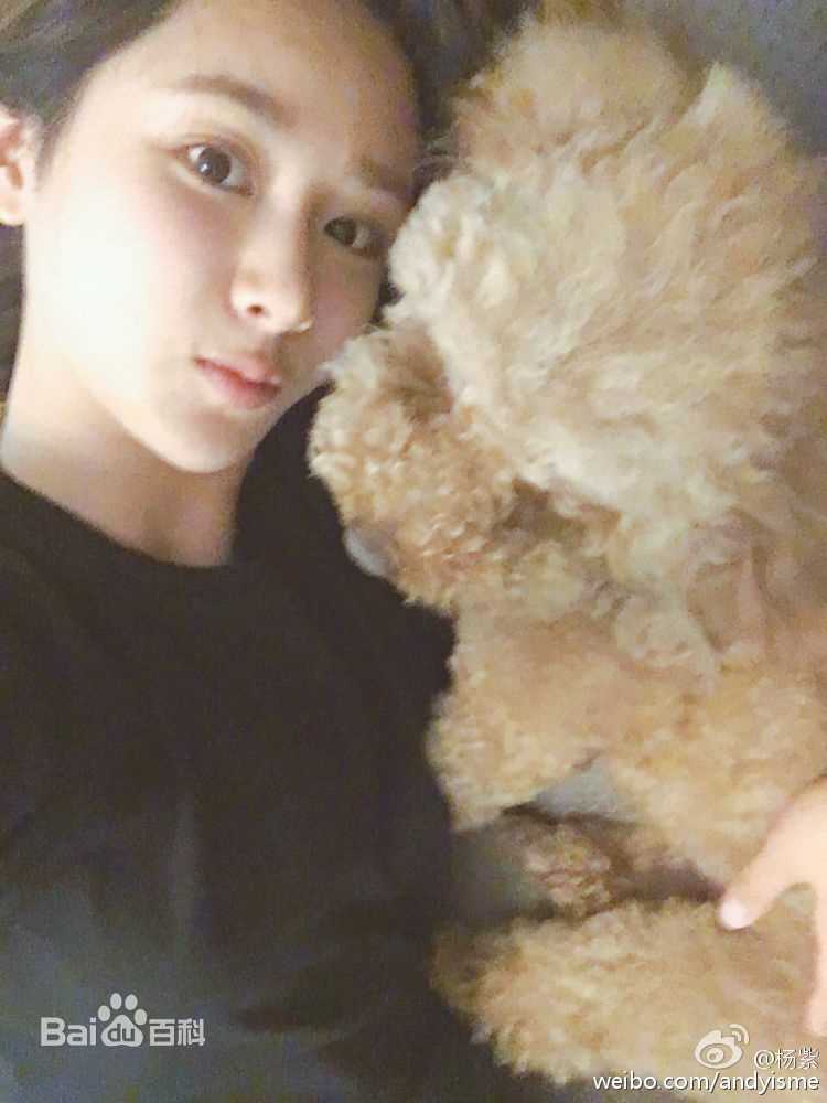 杨紫(Andy)微博性感图片图集