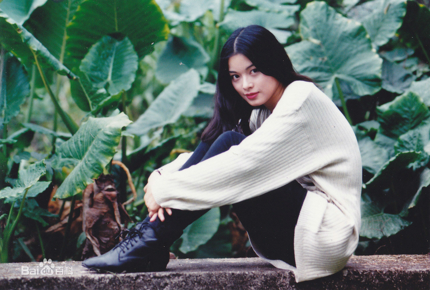 高清刘锦玲图片