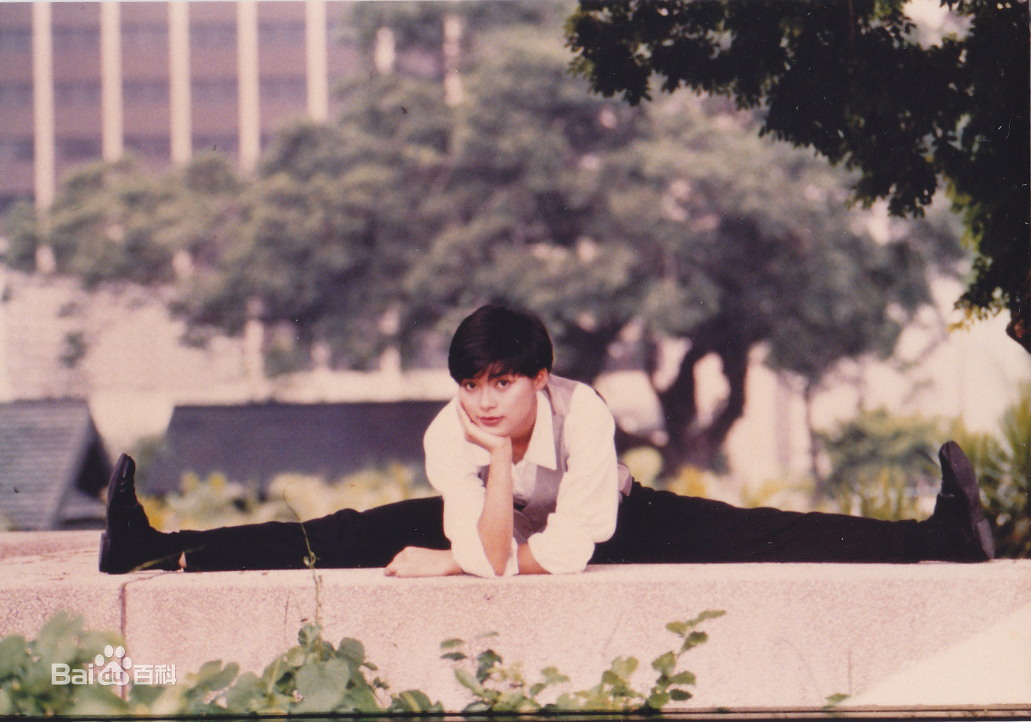 高清刘锦玲图片