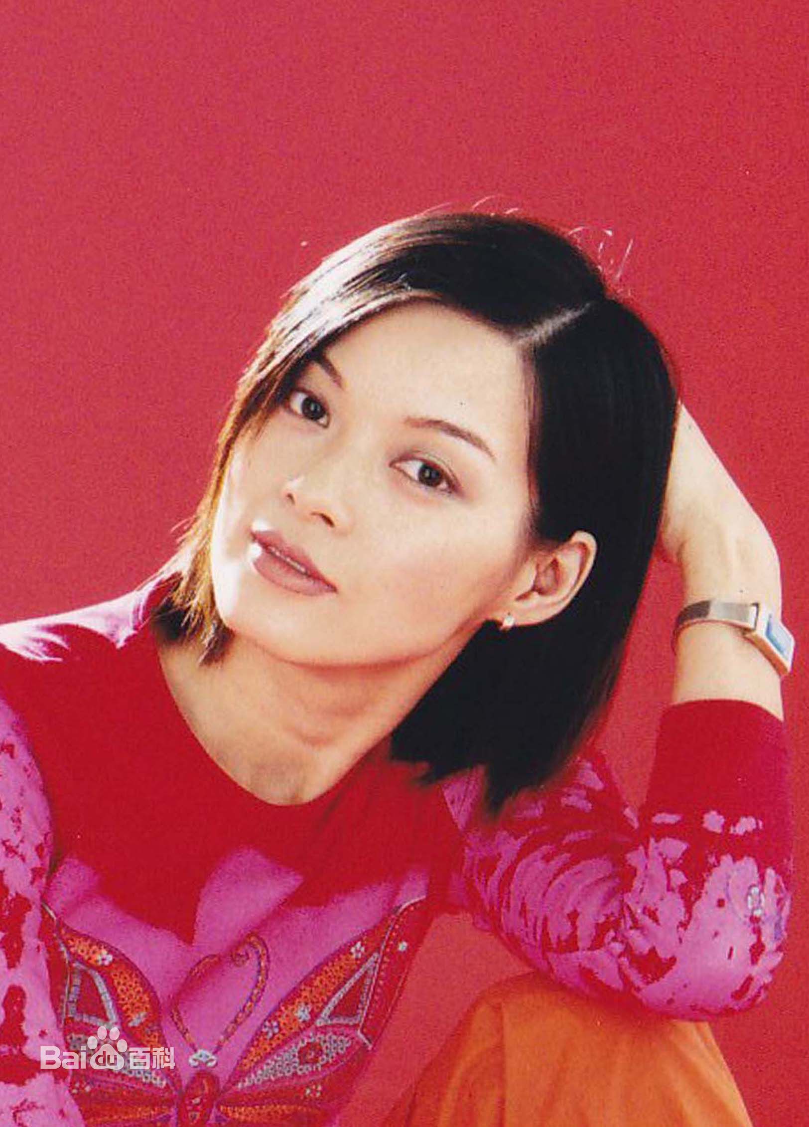 刘锦玲最全早期照片壁纸