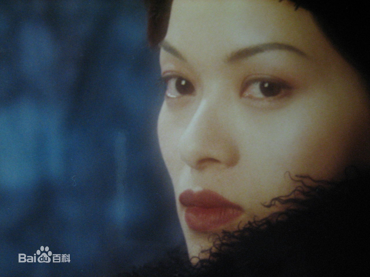 刘锦玲最全早期照片壁纸