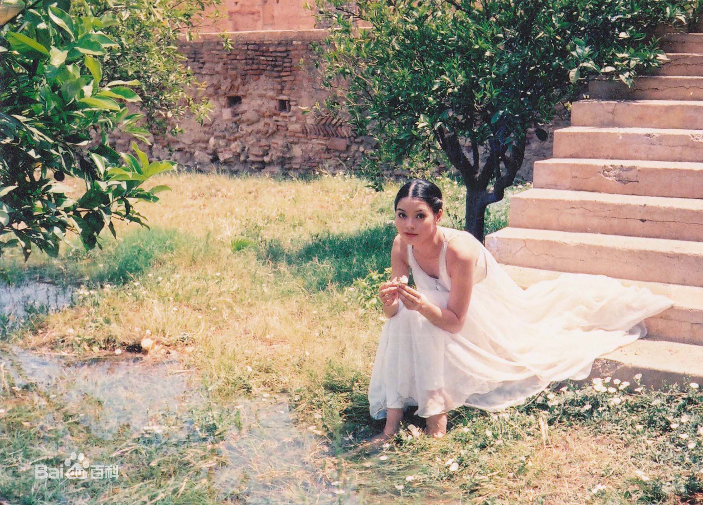 刘锦玲最全早期照片壁纸