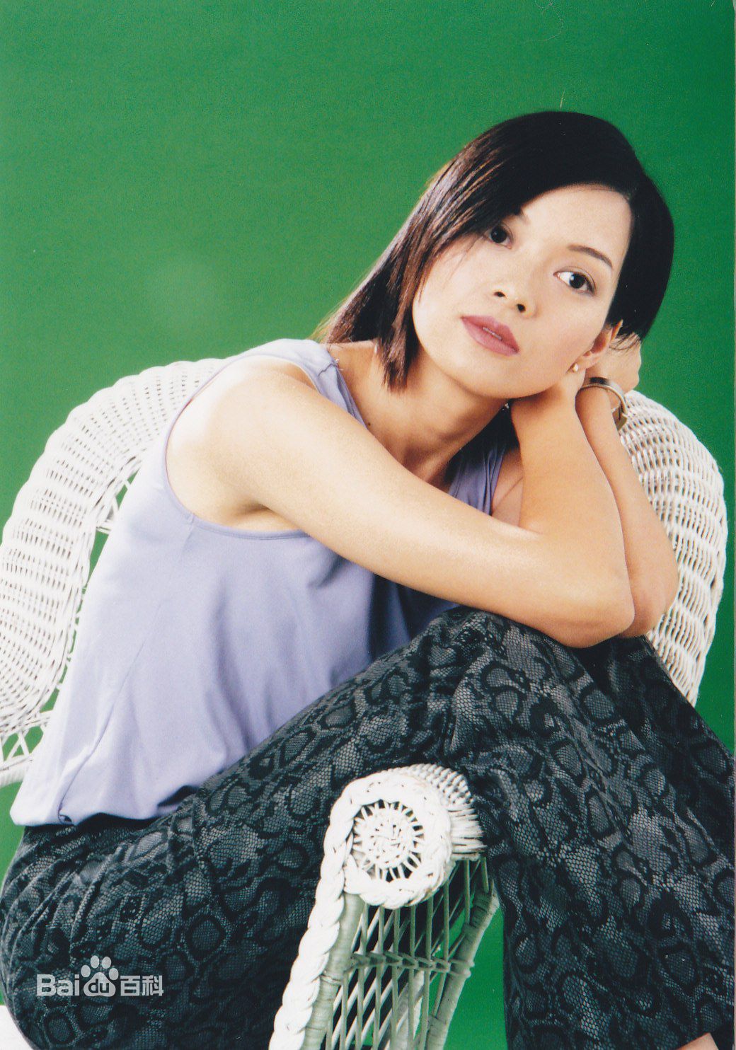 刘锦玲最全早期照片壁纸