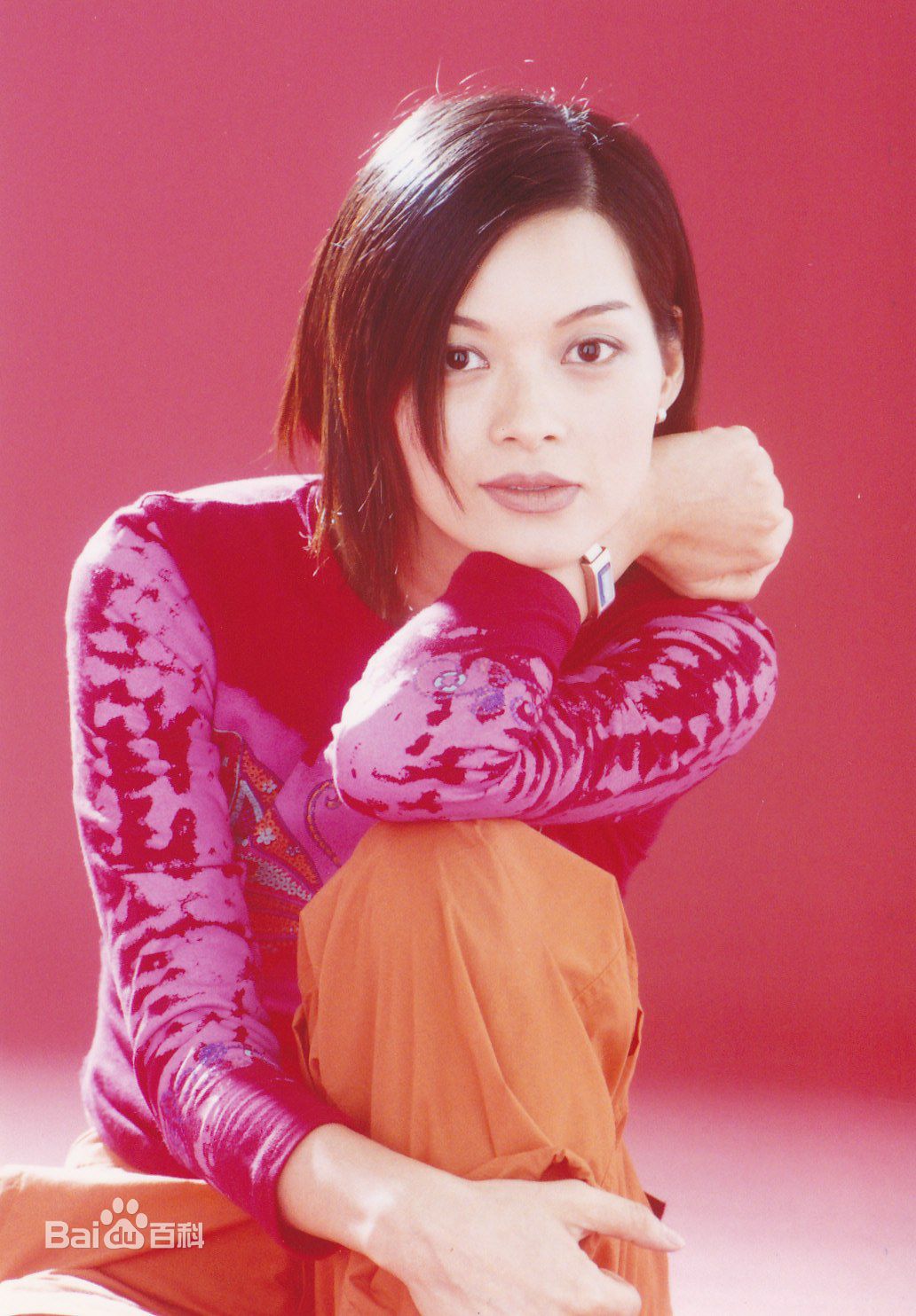 刘锦玲最全早期照片壁纸