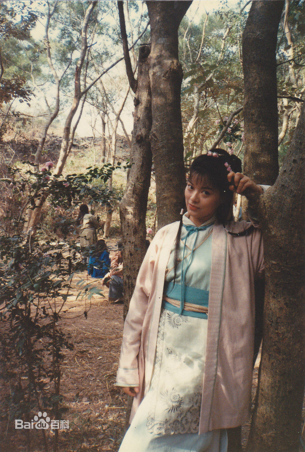 最新刘锦玲在《天龙八部》饰阿朱中的壁纸