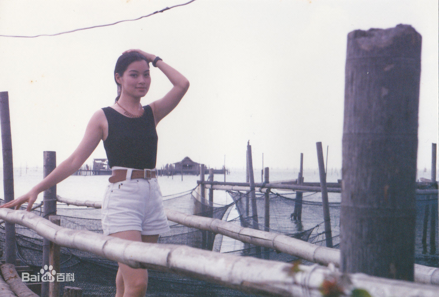 刘锦玲综艺节目图册