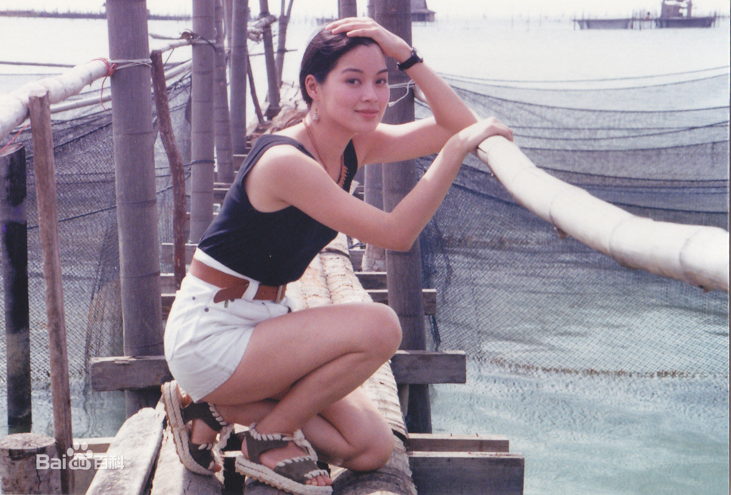 刘锦玲综艺节目图册