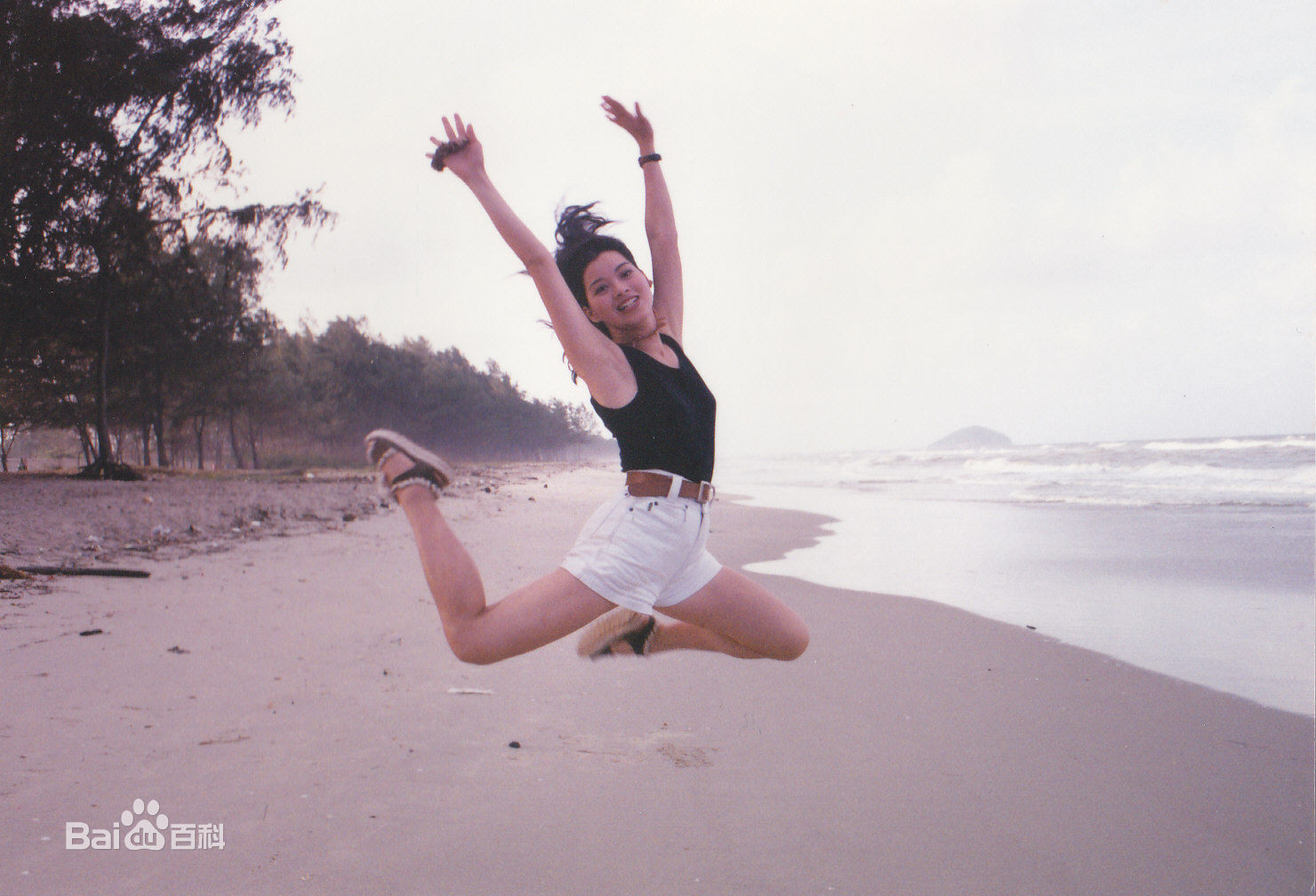 刘锦玲综艺节目图册