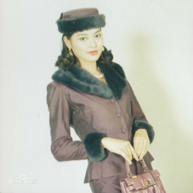 高清刘锦玲在《银狐》饰江凯伦中的图集