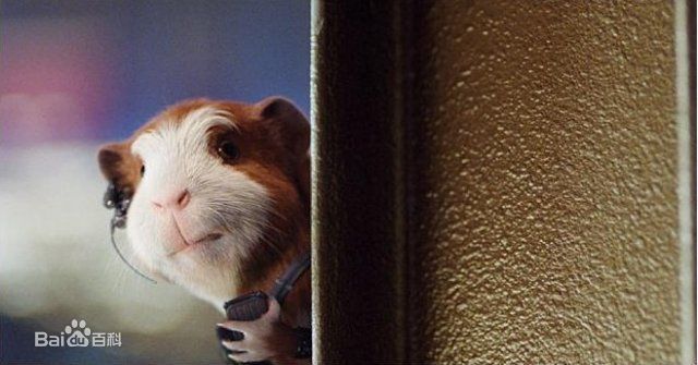 高清戴娇倩(Shirley Dai)精彩图册