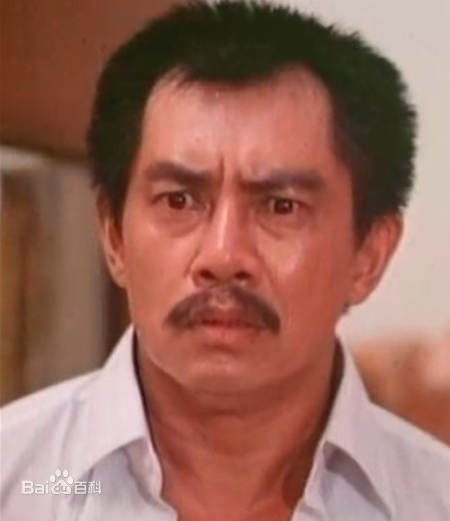 陈星概述图册前后照片