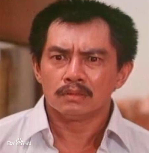 陈星概述图册前后照片