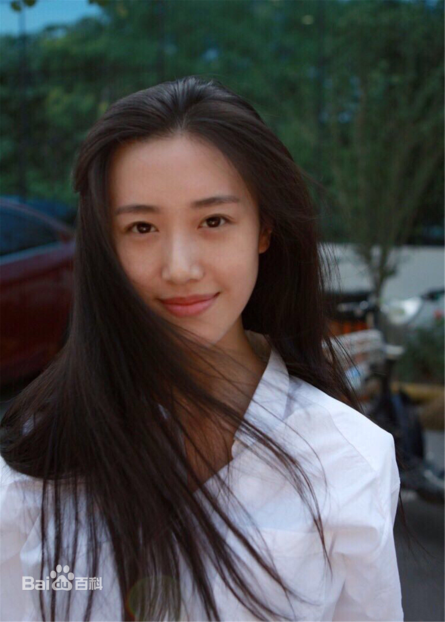 崔宝月最全壁纸