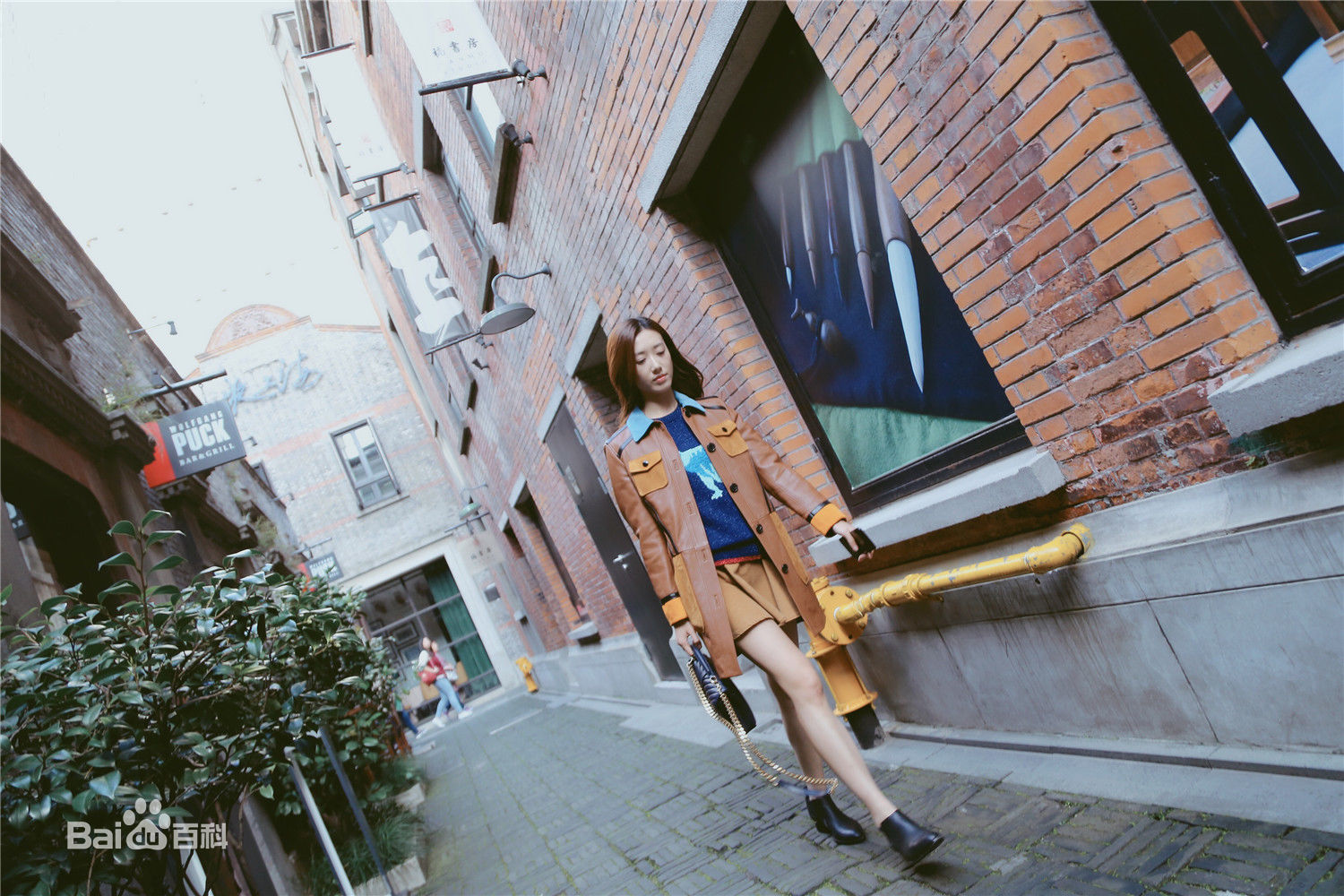 崔宝月最全壁纸