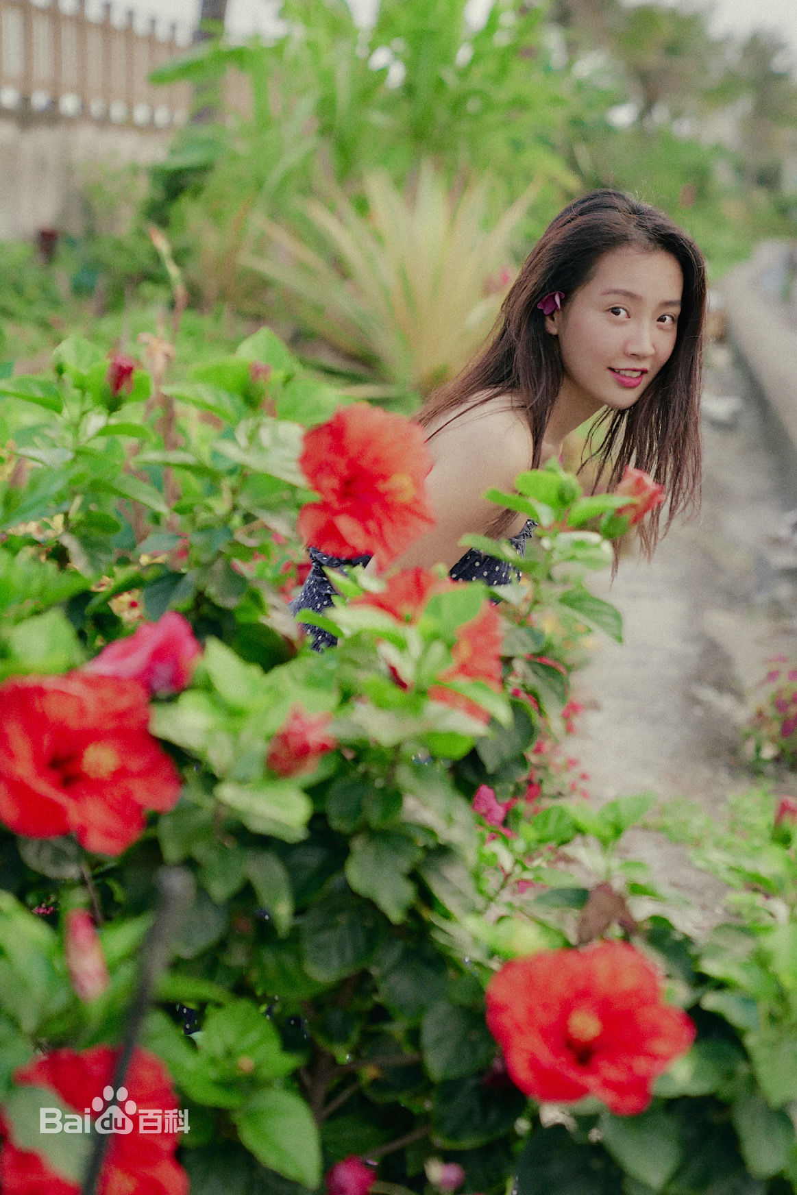 高清陈芋米(Charlene)图片