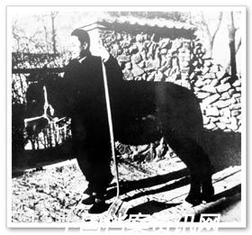 程砚秋前后照片