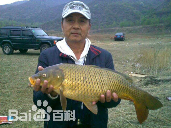 马崇乐的退休钓鱼生活前后照片