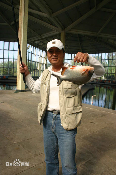 马崇乐的退休钓鱼生活前后照片