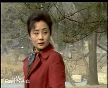 庞敏老师电视剧作品《渴望》最全剧照