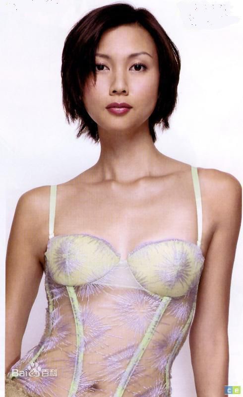 精选李锦梅(Ivy Lee)