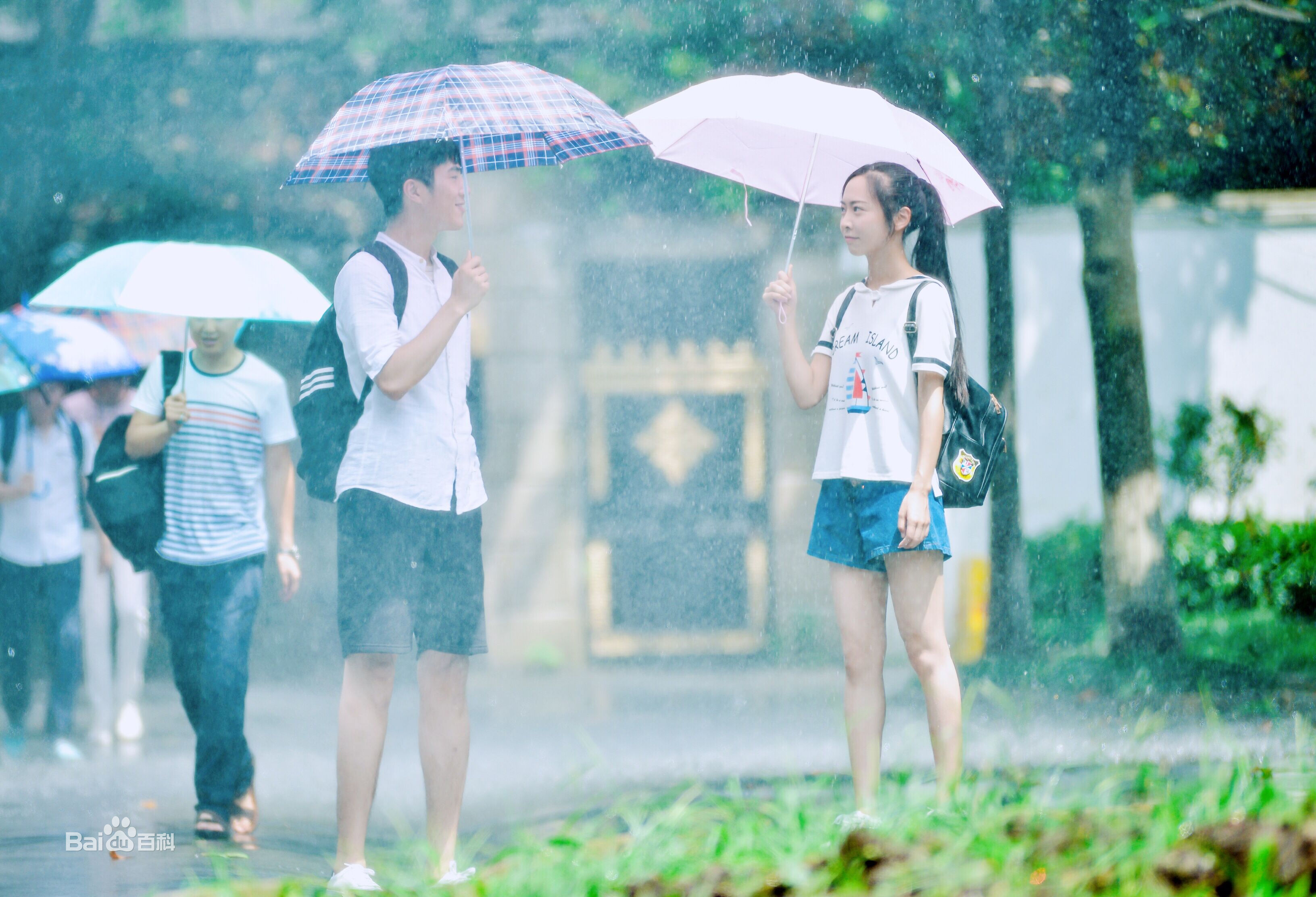 最全成琪在电影《十七岁的雨季》中的相册