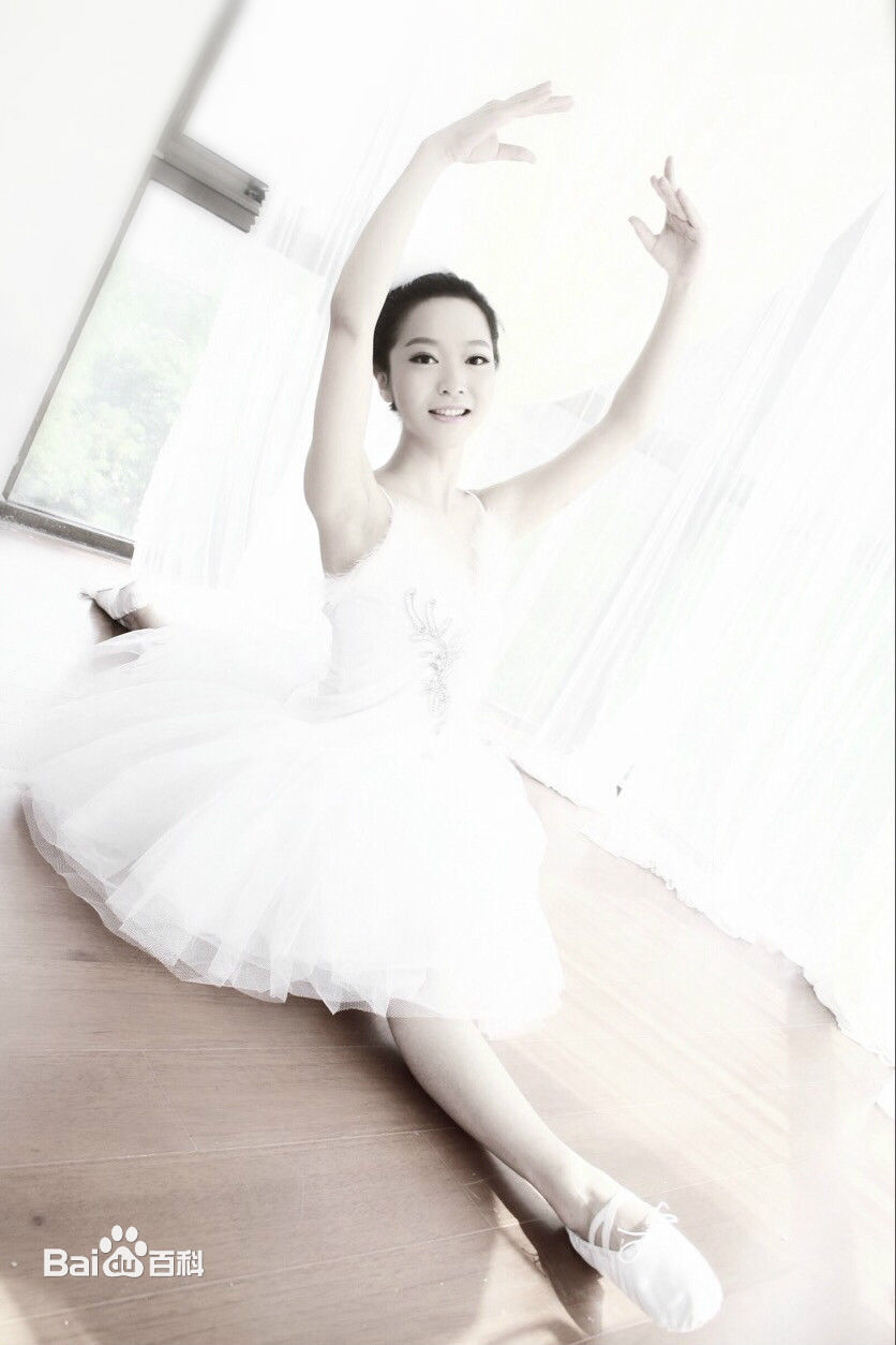 成琪舞蹈图册