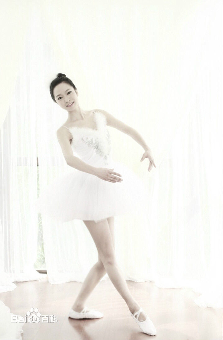 成琪舞蹈图册