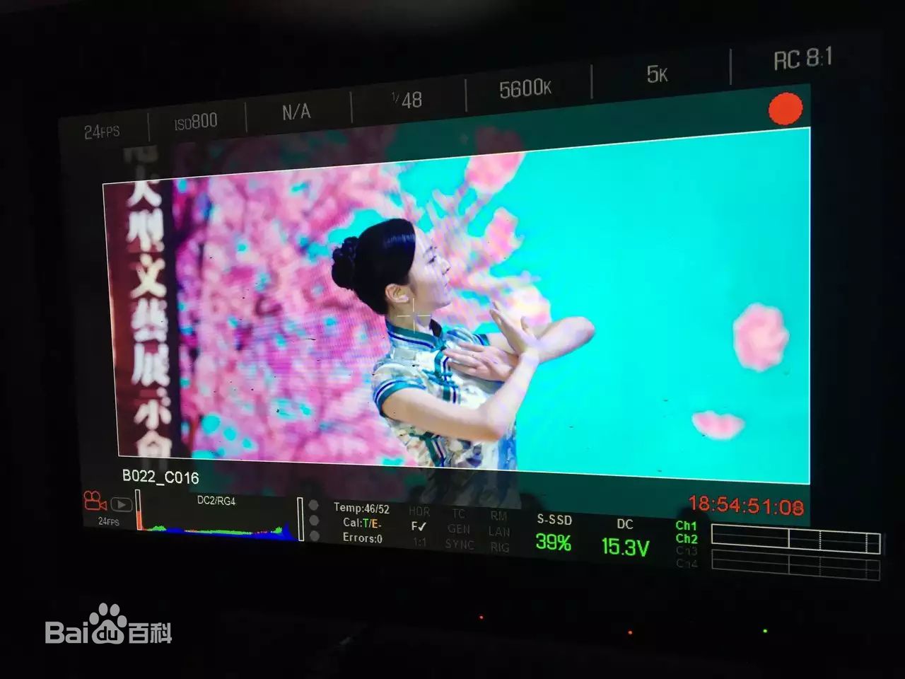 精选成琪在电影《旗袍先生》中的图册