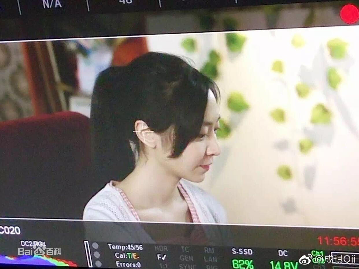 精选成琪在电影《旗袍先生》中的图册