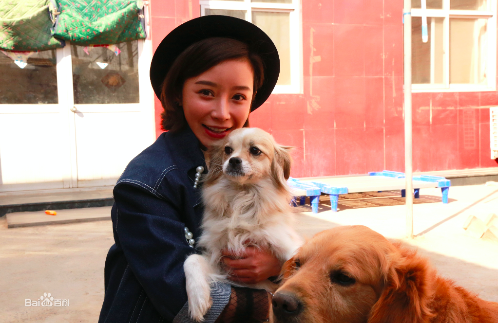 瑛子(Ruth)公益活动图册