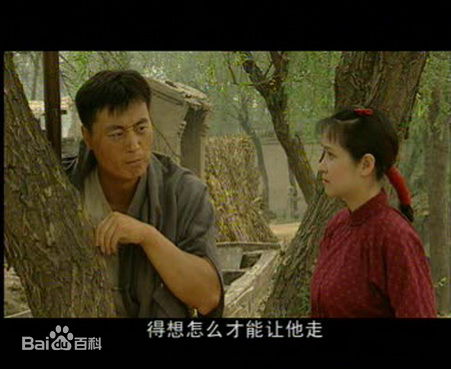 最优质侯继林在在电视剧《城里城外》中扮演吴玉萍中的相册