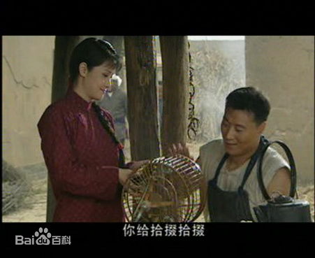 最优质侯继林在在电视剧《城里城外》中扮演吴玉萍中的相册