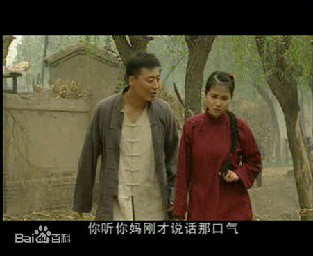 最优质侯继林在在电视剧《城里城外》中扮演吴玉萍中的相册