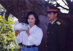 最全李艳秋壁纸