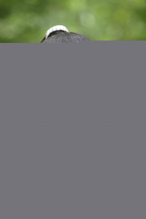 乌日根(Wuenigr)古装高清剧照