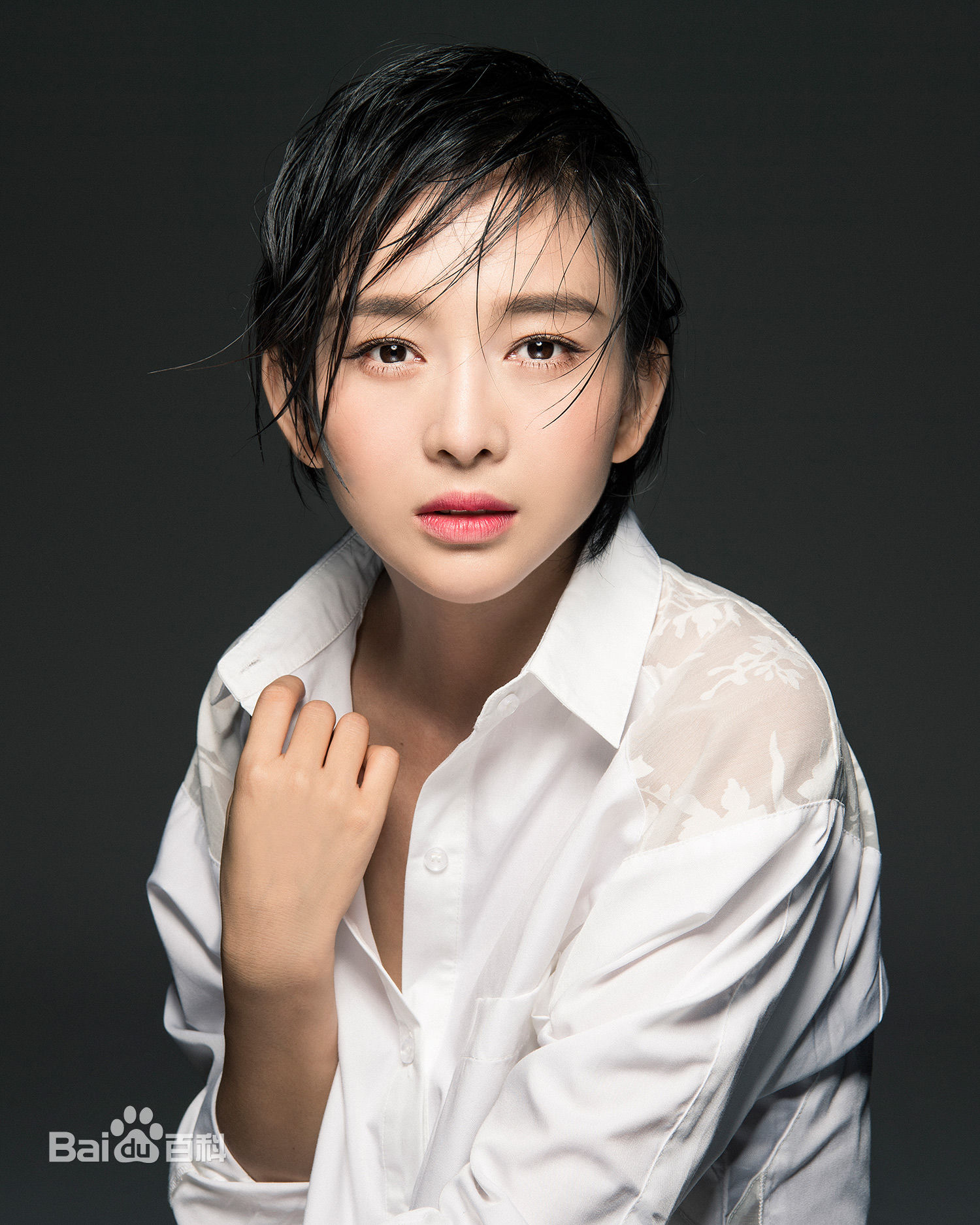 夏一瑶知性大方图片图集