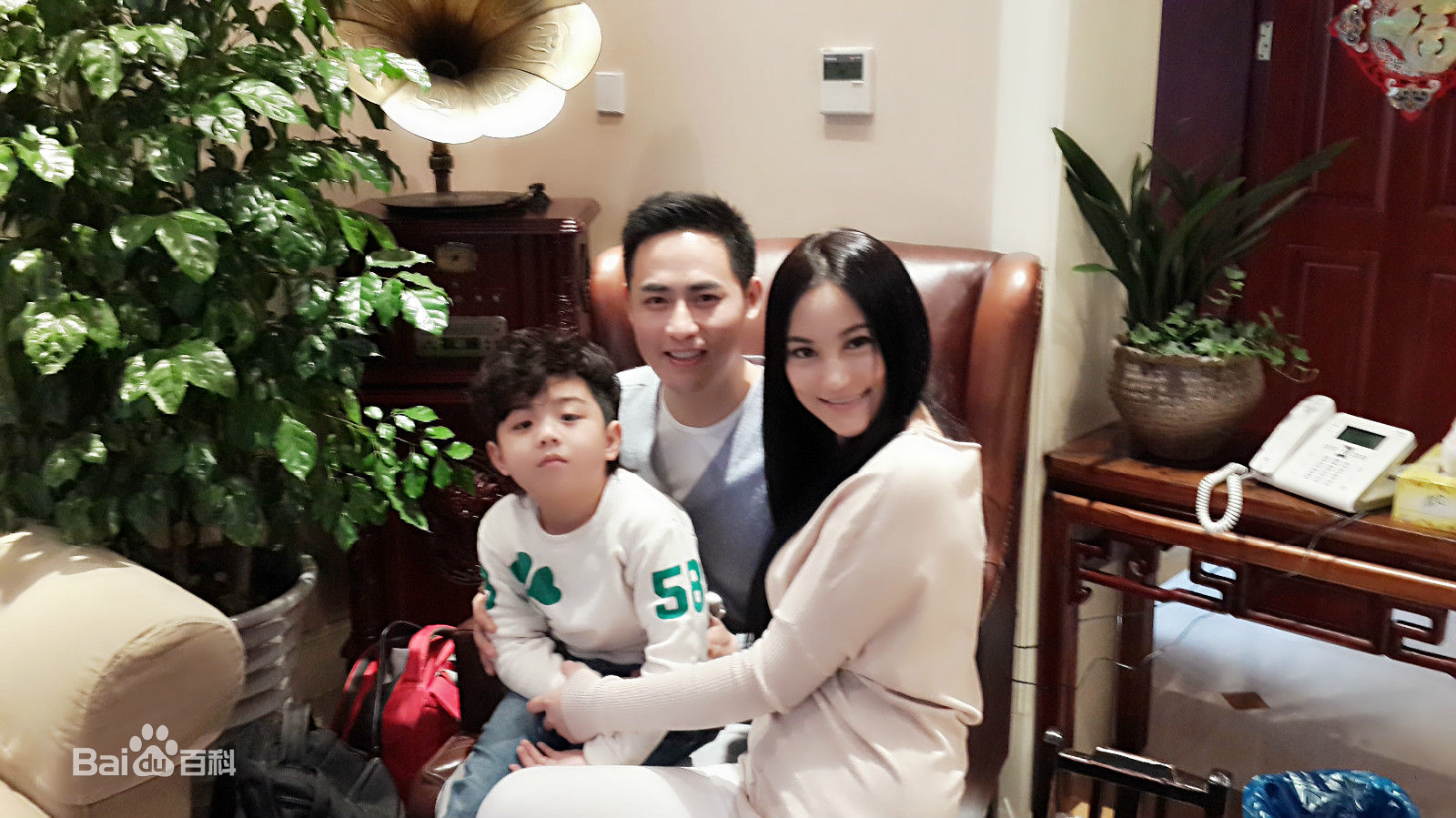 袁满西门子电话广告-图册