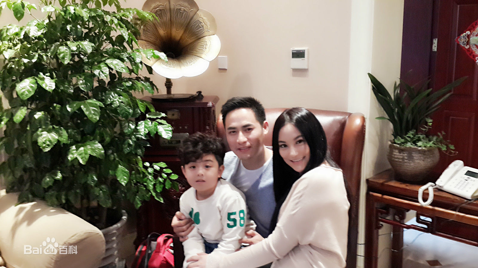 袁满西门子电话广告-图册