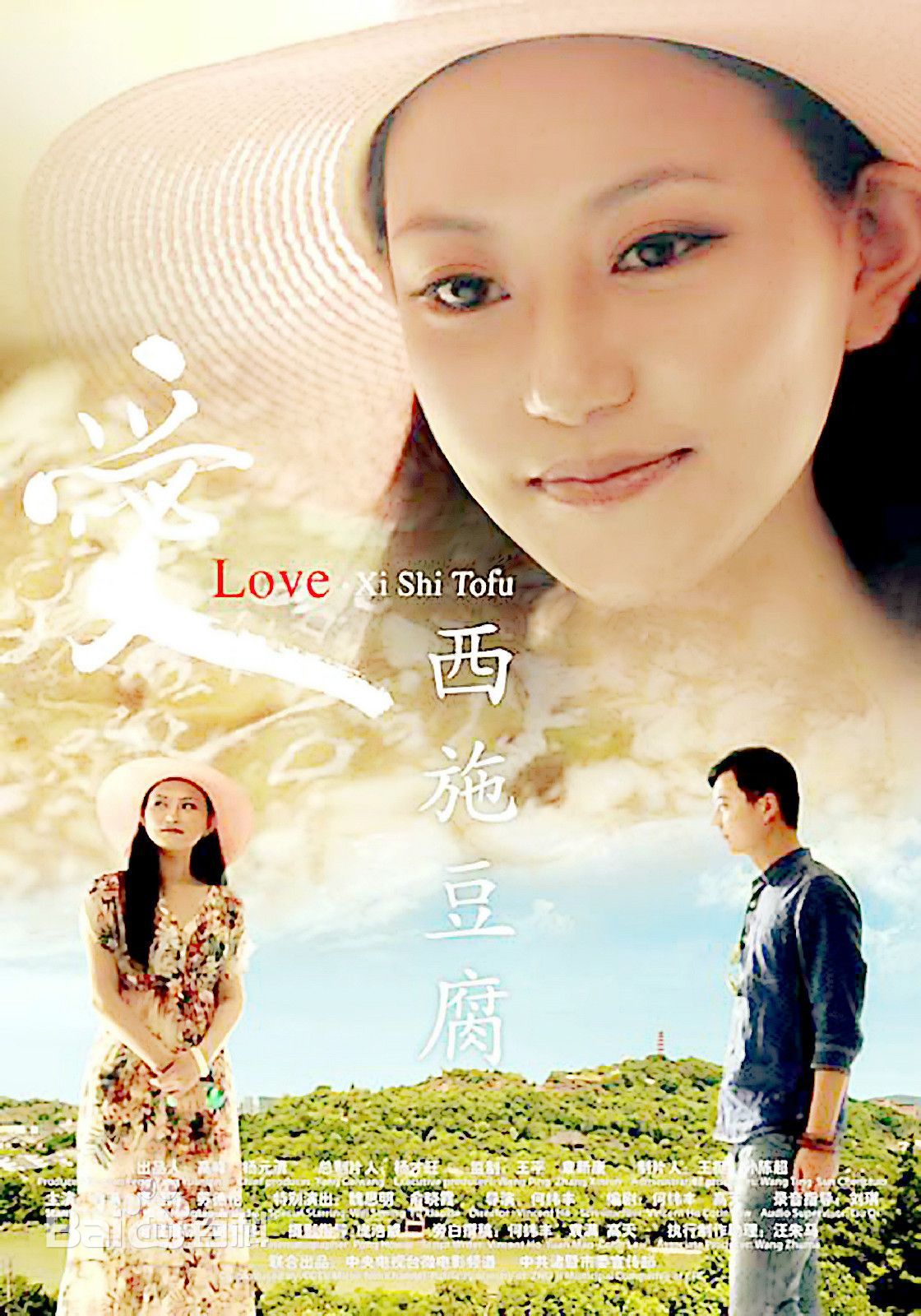 袁满爱西施豆腐-前后照片