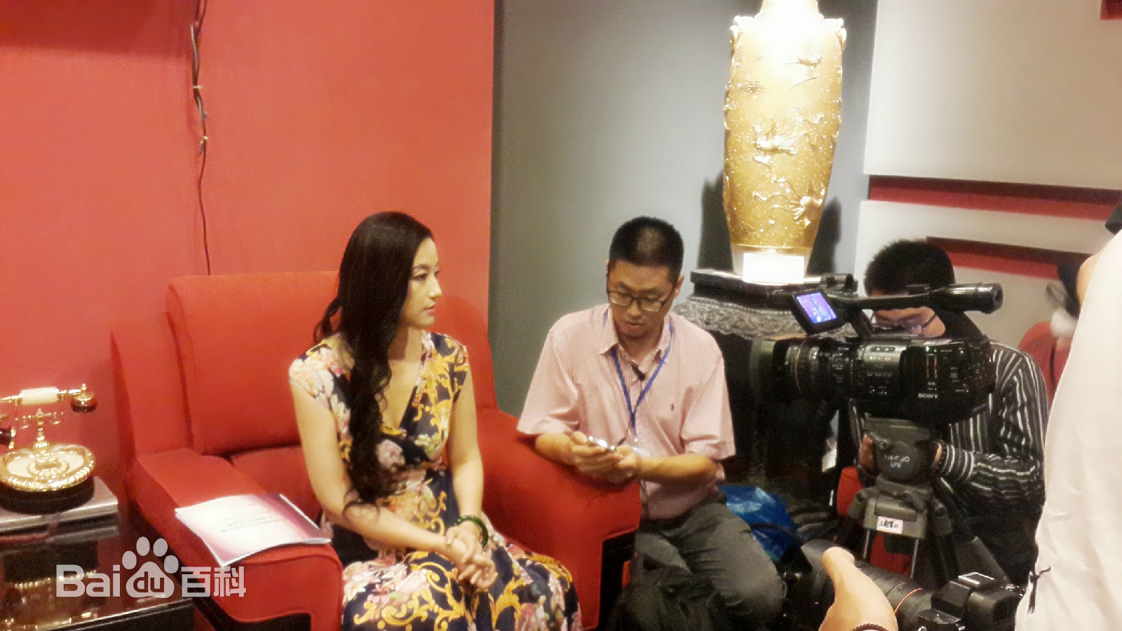 袁满PPTV聚力采访-图册