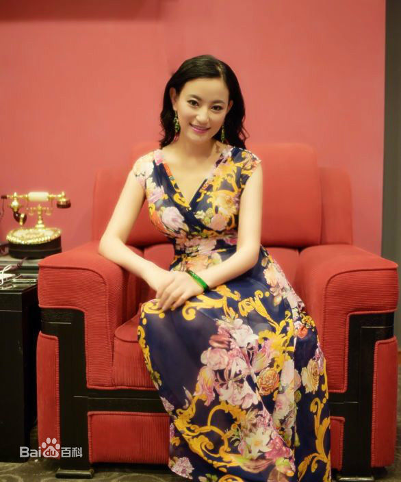 袁满PPTV聚力采访-图册