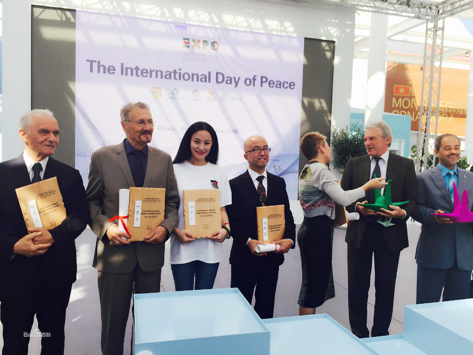 袁满获得米兰世博会国际和平贡献奖素颜照壁纸